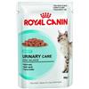 Royal Canin Urinary Care Umido per Gatti 85gr - 85 g