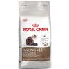 Royal Canin Size Health Nutrition Royal Canin Gatto Ageing +12 Secco - 2 Kg