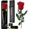 Ruibinlee Rosa Eterna,Regalo Natale Donna,Rosa Stabilizzata con Steli Regali Natale Idee Regalo per Moglie,Fidanzata, Madre, Sorella, Cognata, Migliore Amica, Suocera e Amica,Rosa Rossa
