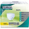 Silc Soffisof Air Dry Pannoloni Mutanda Large 14 Pezzi