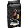 Purina Pro Plan Large Athletic Adult Everyday Nutrition Crocchette per cani 14 kg - Croccantini per cani - 1° ORDINE? 20% di sconto SU BRAND ESCLUSIVI, codice BZR20