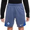 Nike Pantaloncini Calcio Inter Strk Blu Bambino S