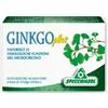 SPECCHIASOL Srl Ginkgo Plus 30cps