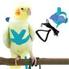Dnoifne Pet Parrot Bird Pettorina e guinzaglio per cani - Design di addestramento regolabile - Anti-morso - Corda in nylon con adorabile ala per pappagalli - Adatto per Alexandrine, Scarlet, Keck