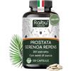 RAIBU Serenoa Repens - 1100 mg Integratore per la Prostata Uomo, Estratto 20:1 di Saw Palmetto (Serenoa Repens) con Semi di Zucca - 120 Capsule Vegane, Senza Additivi - Raibu