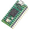 Teensy 4.0 (con Perni)