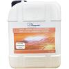 Color point IMPERMEABILIZZANTE TRASPARENTE PER TERRAZZI E BALCONI COTTO RIPARAZIONI FUGHE IDROREPELLENTE 5 Lt