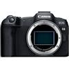 CANON EOS R8 + RF 24-50MM F4.5-6.3 IS STM