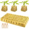 Dyiouxin Cubi di Lana di Roccia,Rockwool Grow Cubi,Lana di Roccia Idroponica,50 Pezzi 25X25X25mm Cubi Lana di Roccia,Rockwool Grow Cubes,Serre Giardinaggio Lana Roccia,Cubi di Coltivazione Soilless