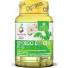 COLOURS OF LIFE GINKGO BILOBA 60 CPR 1000MG - COLOURS OF LIFE - 927259958