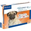 EFFIPRO Duo Cane 2-10(4x0,67) - - 104825029