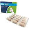 AVICENNA GAVISPET 30Cpr Appetibili - AVICENNA - 984887911