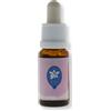 BLUEBERRY 15ml CACTUS - - 912263098