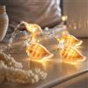 Festive Lights catena di luci a conchiglia leggera a batteria, 10 LED bianco caldo, conchiglie reali, 1,5m