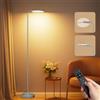 SIBRILLE Lampada da Terra Salotto, 36 W Super Luminosa, Moderna Piantana LED Dimmerabile con Telecomando, 2400LM 3000K-6000K Lampada da Lettura per Soggiorno, Camera da Letto, Ufficio, Argento