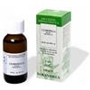 SARANDREA MARCO &C. SRL CLOROFILLA Gtt 100ml SARANDREA