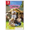 Toplitz Animal Doctor (Nintendo Switch)