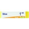 BOIRON Srl SILICEA Dose MK