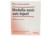 GUNA SpA Medulla Ossis Suis-Injeel - 10 Fiale da 2,2ml - Medicinale Omeopatico per il Benessere Osseo