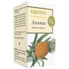 ERBAMEA Srl ANANAS 50OP ERBAMEA