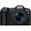 Canon EOS R8 + RF 24-50mm F4.5-6.3 - Fotocamera Digitale Mirrorless - Sensore CMOS Full-Frame da 24,2 MP - Dual Pixel CMOS AF II - Composizione Integrata - Touchscreen LCD - Compatibilità UVC/UAC