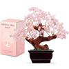 Parma77 Feng Shui - Albero dei soldi in cristallo di quarzo rosa naturale, albero di cristallo curativo, decorazione in stile bonsai, per ricchezza e fortuna, decorazione per la casa, regali per donne