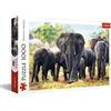Trefl 916 10442 EA Nature 1000pcs Elephants, Multicolor, Schlafender Löwe