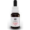 BUSH BIOTHERAPIES Pty Ltd Red Helmet Orchid Australian Bush Flower Essences 15ml