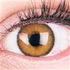 GLAMLENS Lenti a contatto colorate marrone chiaro Mirel Brown - mensili - con porta lenti a contatto - marroni naturale in silicone idrogel - 2 pezzi - DIA 14.0 - senza correzione 0.00 diottrie