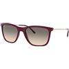 Ray-Ban RB 4344 (653432)