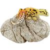 Top Collection Miniature Fairy Garden And Terrarium Leopard Gecko on Rock Statue