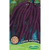Germisem Cosse Violette Semi di Fagiolo Rampicante 100 g