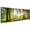 Visario bestpricepictures 120 x 40 cm Quadro su Tela Bosco 5730-SCT - Stampa/Disegno/Immagine Pronto da Appendere