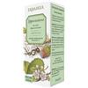 Ippocastano 50 ml
