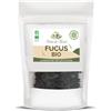 Herbes du Monde - Tisana al Fucus Soppressore dell'Appetito della Vescica BIOLOGICA - Origine Francia - Tisane Bio Dimagranti e Detox - Ricca di Iodio - 1 bustina da 80g Certificata AB