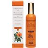 L'ERBOLARIO L'RBOLARIO OLIO SOLARE ACCELERATORE ABBRONZATURA SPF15 100 ML