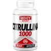WHY SPORT CITRULLINA 1000 - Integratore Alimentare Energetico a Base di Citrullina Malato - 90 Compresse