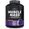 BioTechUSA Muscle Mass | Proteine e Carboidrati in Polvere | con Peptidi di Creatina e Glutammina | Guadagno | Senza Lattosio | Creatina Micronizzata | 4000 g | Fragola