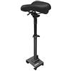 Segway-Ninebot SEGWAY Ninebot - Sella per scooter elettrico MAX G30P e G30LP, regolabile, comoda e ammortizzante, nera, grande