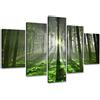Visario 6312 - Quadro su Tela con Immagine di Bosco, 5 Pezzi Marca Originale, 200 x 100 cm