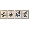 DKD Home Decor Telaio, Standard