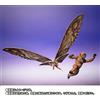 Bandai S.H. MonsterArts Godzilla x Kong The New Empire Suko & Mothra