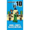 Danilo Promotions LTD Cards Minecraft, biglietto di auguri per il 10° compleanno, per 10° compleanno
