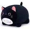 Yeqivo Peluche Gatto Compleanno Nero - Giocattolo Morbido con Scritta 'HAPPY BIRTHDAY', Regalo Personalizzabile per Bambini Adulti(25CM,Nero)