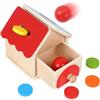 Siairo Montessori Giocattoli con Vassoio Palle E Monete Montessori Toys per Toddler Coin&Ball 2-in-1 Drop Box forma della casa Scatola di permanenza degli Oggetti per bambini bambine