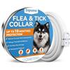 Inpumo Collare Antiparassitario per Cani, Collare Antipulci Cane, Olio Essenziale Naturale 10 Mesi di Protezione Impermeabile Regolabile per Cani di Taglia Piccola Media e Grande 65CM (1 pack)