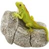 Top Collection Top Collezione Miniature Fairy Garden e terrario Iguana on Rock Statue