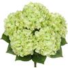 Hollyone Ortensia grande fiori artificiali, verde chiaro, ortensia realistica, fiori artificiali in seta, ortensia per matrimonio, ufficio, caffè, decorazione per la casa, cucina
