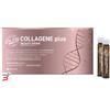 MARCO VITI FARMACEUTICI SpA DR VITI COLLAGENE BEAUTY DRINK PLUS 250 ML