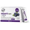 MARCO VITI FARMACEUTICI SpA DR VITI DRENANTE FORTE MIRTILLO 28 STICK PACK SENZA ZUCCHERI